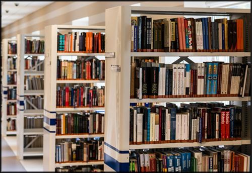 Books on shelves in library